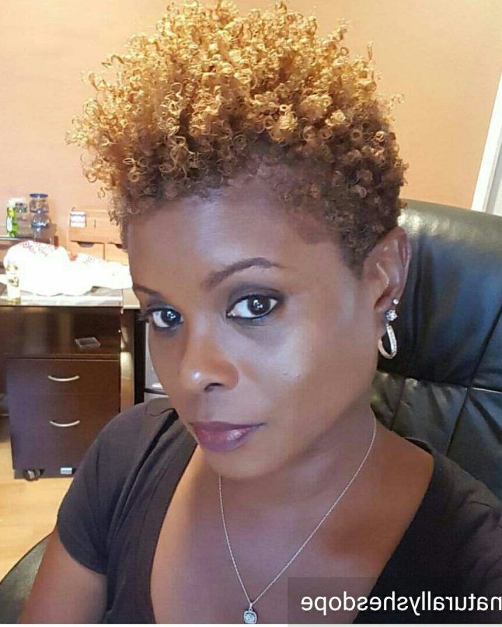20 Photos Curly Black Tapered Pixie Hairstyles