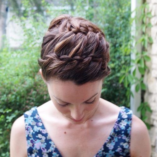 Double Braids Updo Hairstyles (Photo 9 of 15)