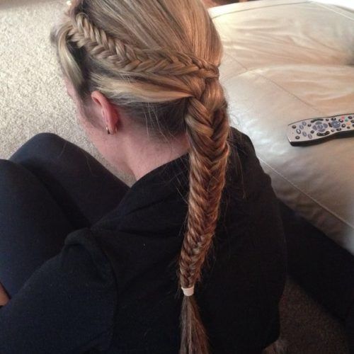 Double-Braided Single Fishtail Braid Hairstyles (Photo 16 of 20)