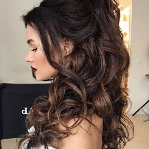 Chic Ponytail Updo For Long Curly Hair (Photo 3 of 15)