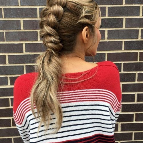 Pony Hairstyles With Accent Braids (Photo 20 of 20)
