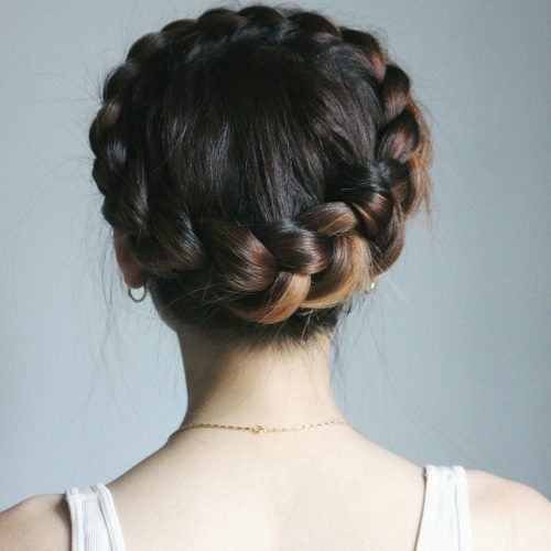 Regal Braided Up-Do Ponytail Hairstyles (Photo 5 of 20)