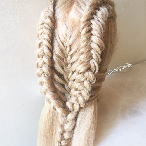 Mermaid Braid Hairstyles With A Fishtail (Photo 14 of 20)