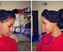 15 Inspirations Senegalese Twist Styles Updo Hairstyles