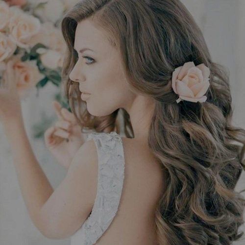 Wedding Hairstyles Down With Veil (Photo 11 of 15)