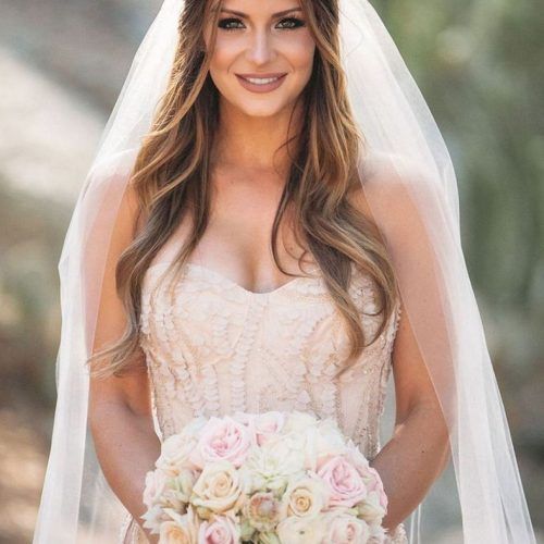 Wedding Hairstyles For Long Hair And Veil (Photo 12 of 15)