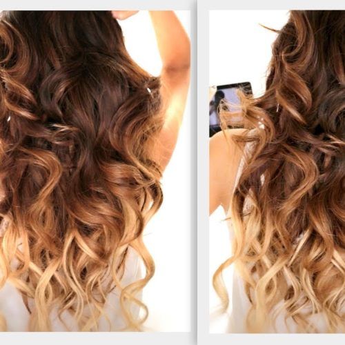 Tied Back Ombre Curls Bridal Hairstyles (Photo 12 of 20)