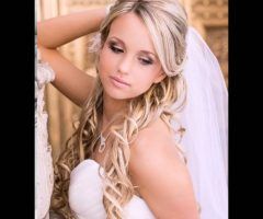 20 Collection of Tender Bridal Hairstyles with a Veil
