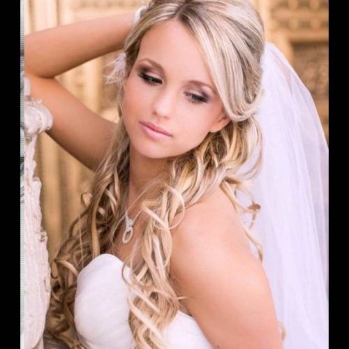 Tender Bridal Hairstyles With A Veil (Photo 1 of 20)