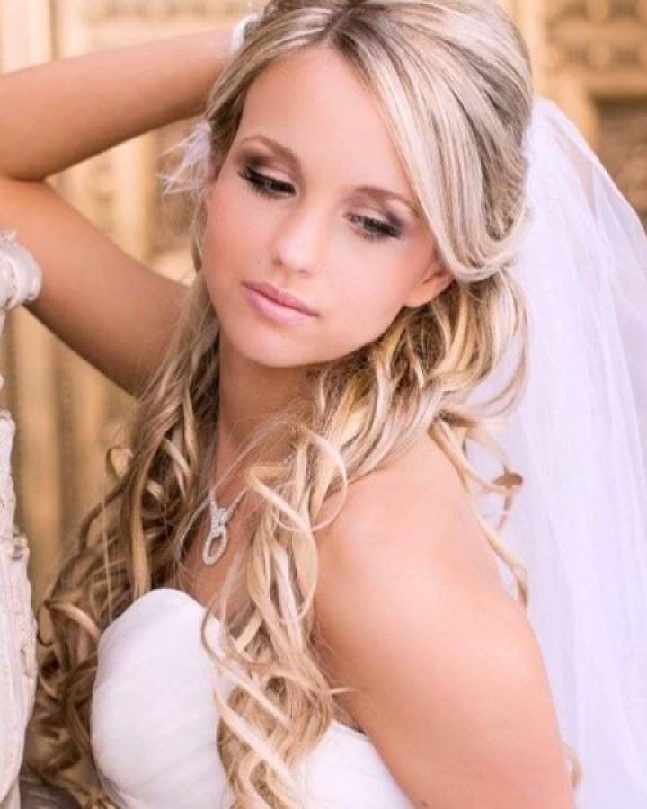 20 Collection of Tender Bridal Hairstyles with a Veil