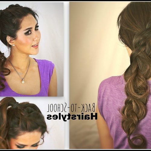 Bouffant And Braid Ponytail Hairstyles (Photo 9 of 20)