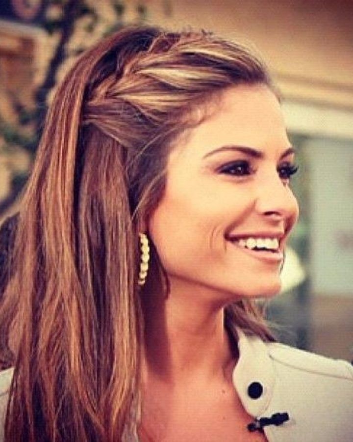 15 Best Collection of Long Hairstyles Pinned Back