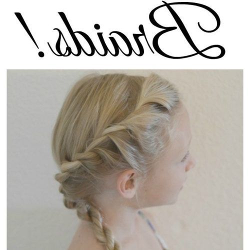 Thin Double Braids With Bold Bow (Photo 12 of 15)