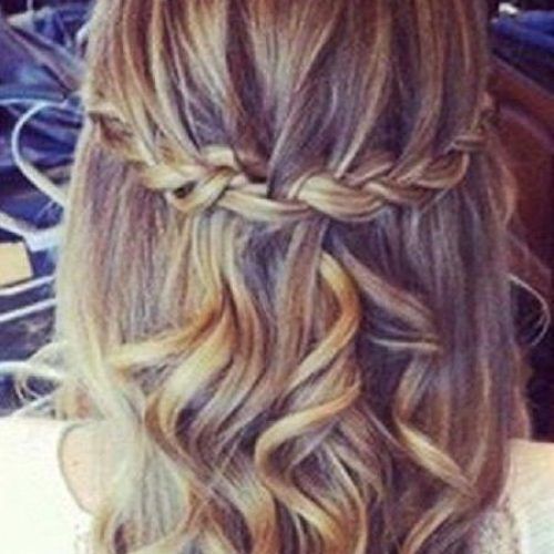 Long Hairstyles Plaits (Photo 6 of 15)