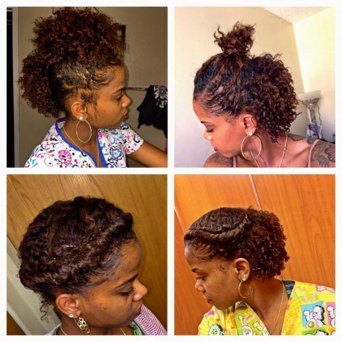 Braided Hairstyles With Natural Hair (Photo 7 of 15)