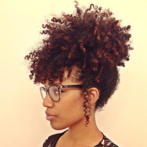 Black Curly Hair Updo Hairstyles (Photo 11 of 15)