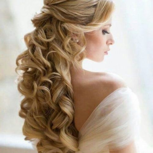 Updos For Brides With Long Hair (Photo 9 of 15)