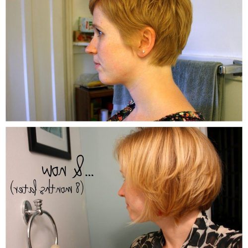 Growing-Out Pixie Hairstyles For Curly Hair (Photo 20 of 20)