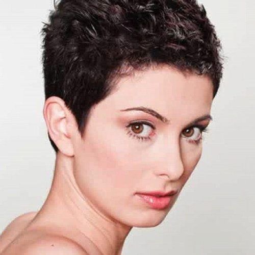 Very Short Haircuts For Women With Thick Hair (Photo 14 of 20)