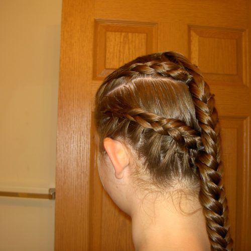 Twisted Lace Braid Hairstyles (Photo 7 of 20)