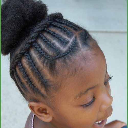 Small Braids Mohawk Hairstyles (Photo 20 of 20)