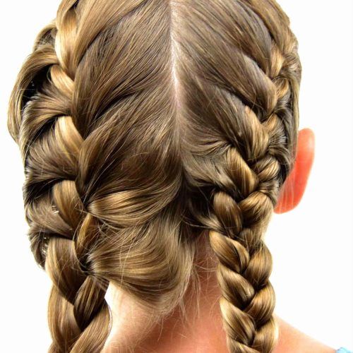French Braid Hairstyles (Photo 10 of 15)