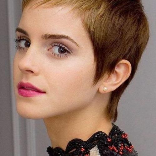 Ultra Short Pixie Haircuts (Photo 5 of 20)