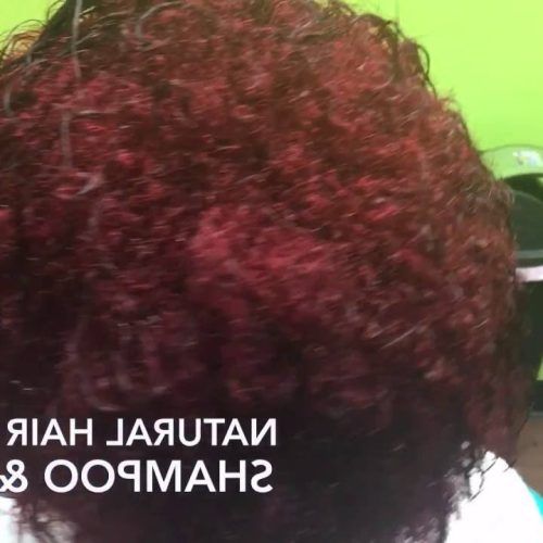 Pageboy Maroon Red Pixie Haircuts (Photo 10 of 20)