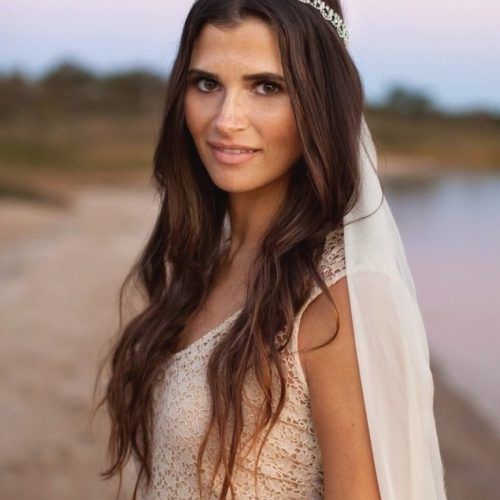 Wedding Hairstyles For Down Straight Hair (Photo 1 of 15)