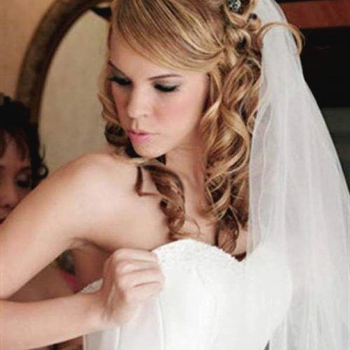 Wedding Hairstyles For Shoulder Length Hair With Veil (Photo 8 of 15)