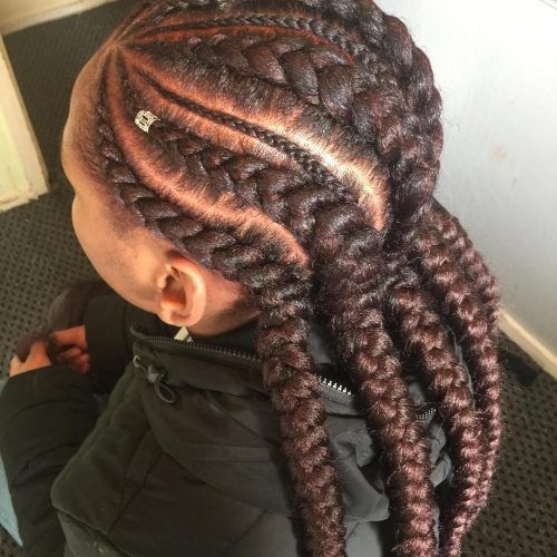 Angled Cornrows Hairstyles With Braided Parts (Photo 11 of 20)