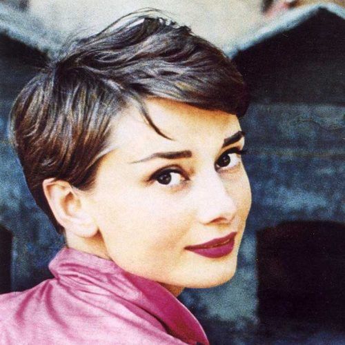 Audrey Hepburn Inspired Pixie Haircuts (Photo 14 of 20)