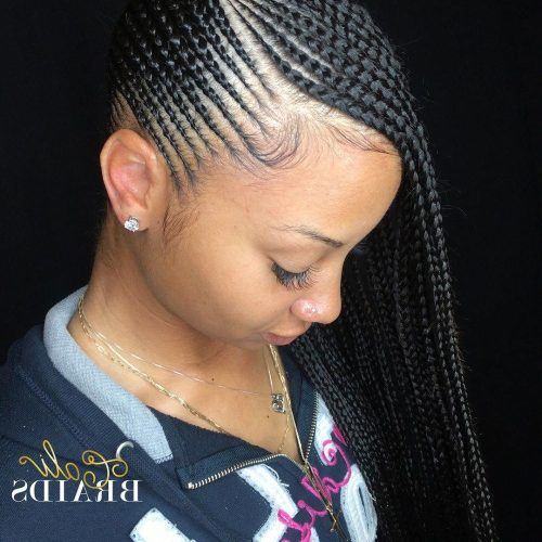 Back And Forth Skinny Braided Hairstyles (Photo 1 of 20)