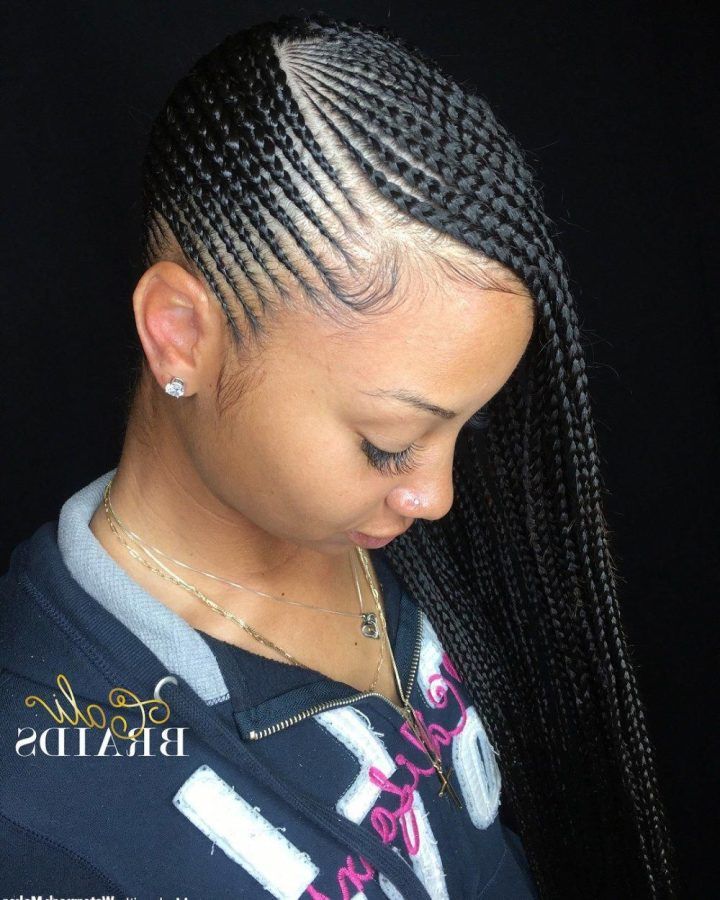 20 Collection of Back and Forth Skinny Braided Hairstyles