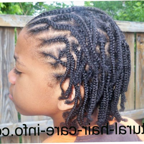 Braided Hairstyles For Black Males (Photo 4 of 15)