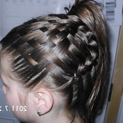 Braided Hairstyles For Swimming (Photo 10 of 15)