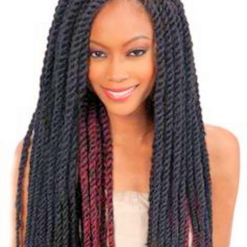 Braided Hairstyles For Women (Photo 12 of 15)
