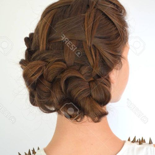 Braided Shoulder Length Hairstyles (Photo 18 of 20)