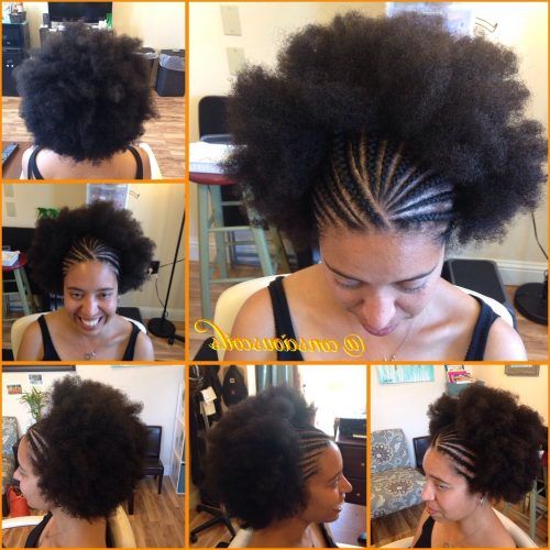 Cornrows Afro Hairstyles (Photo 3 of 15)