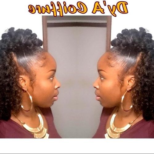 Cornrows And Crochet Hairstyles (Photo 6 of 15)