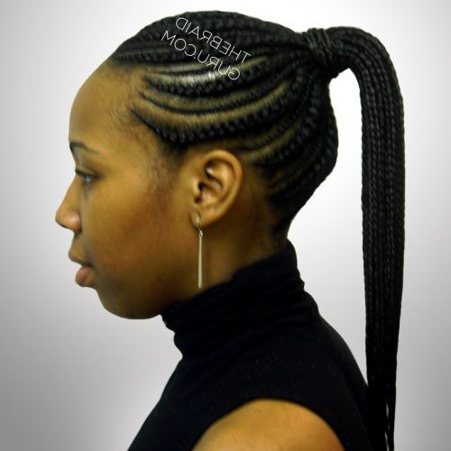 Cornrows And Senegalese Twists Ponytail Hairstyles (Photo 16 of 20)