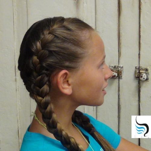 Double French Braids And Ponytails (Photo 3 of 15)
