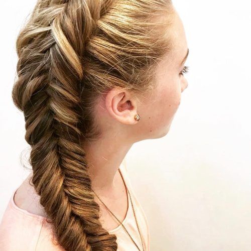 Double Rapunzel Side Rope Braid Hairstyles (Photo 9 of 20)