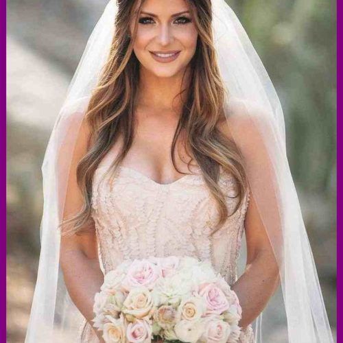 Half Up Half Down With Veil Wedding Hairstyles (Photo 10 of 15)