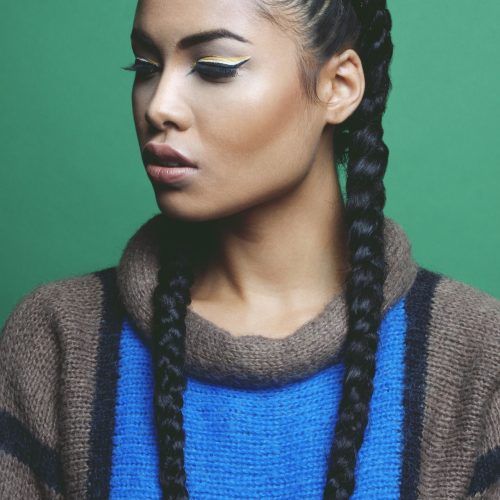Long Hairstyles With Multiple Braids (Photo 2 of 20)