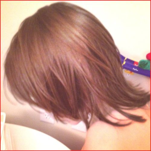Reddish Brown Hairstyles With Long V-Cut Layers (Photo 9 of 20)