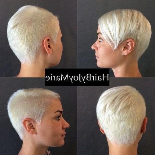 Shaved Pixie Haircuts (Photo 15 of 20)