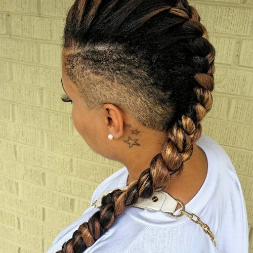 Side French Cornrow Hairstyles (Photo 13 of 15)