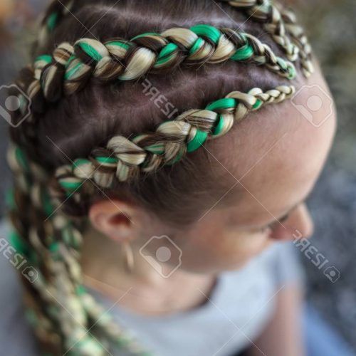 Thick And Thin Braided Hairstyles (Photo 17 of 20)