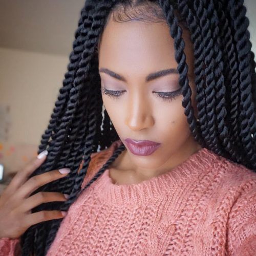 Twists And Braid Hairstyles (Photo 1 of 20)